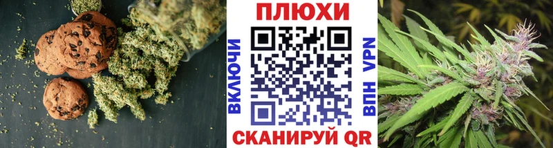 OMG   Дзержинский  Cannafood конопля  как найти  