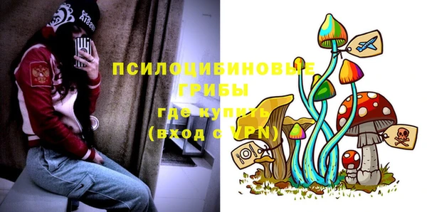 спайс Вязьма