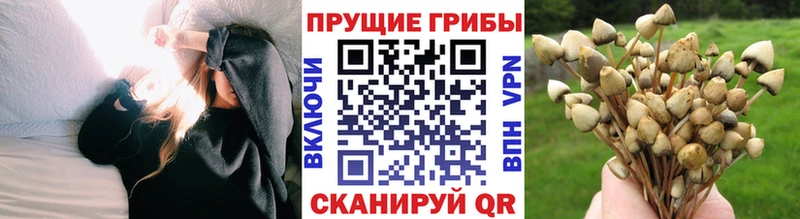 Псилоцибиновые грибы MAGIC MUSHROOMS  Дзержинский 