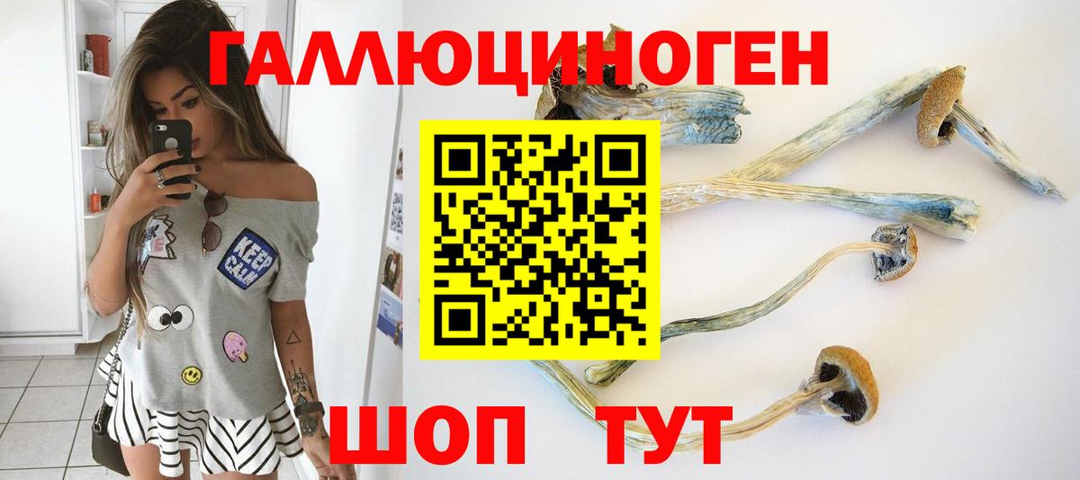 цены   Дзержинский  Галлюциногенные грибы GOLDEN TEACHER 